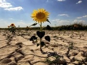 Una Visión Climática para limitar el calentamiento global a 1,5 grados