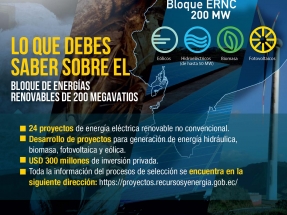 El gobierno lanza una licitación por 200 MW renovables