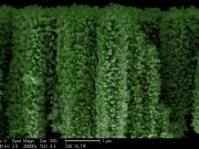 Un bosque de nanocables que genera hidrógeno