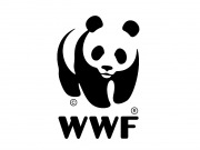 WWF rompe los mitos sobre las energías renovables