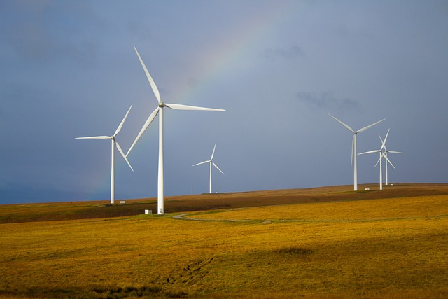 Historic Wind Energy Agreement Expected to Power 100% of Bentley University Campus 